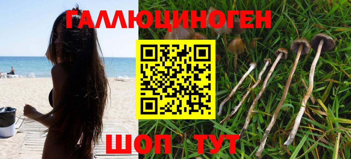 Псилоцибиновые грибы мицелий  Вход с VPN  наркота  Тихвин  Псилоцибиновые грибы Psilocybe 